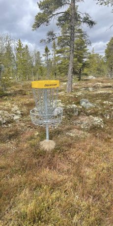 Diskgolf_Femund Engerdal_Kurv_Hovden Hyttefelt_Foto Steinar Haugen