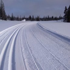 Langrenn-Skispor-Gammelsetra_FemundEngerdal