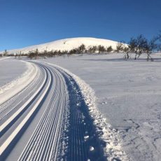 Valdalen-gard-skiloype_FemundEngerdal